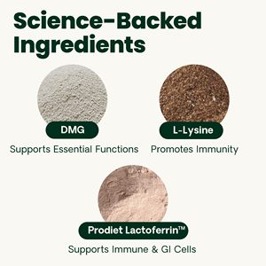 <span class=keywords><strong>Poudre</strong></span> de <span class=keywords><strong>Lysine</strong></span> <span class=keywords><strong>pour</strong></span> la Santé Immunitaire des Chats et des Chatons - Complément de Soutien Nasal Immunitaire, Soulage les Éternuements, le Nez qui Coule et les Yeux Larmes - Product Image 2