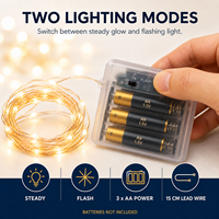 Guirlandes lumineuses à piles en fil de cuivre 5M 50 LED 10M 100 LED pour la décoration de mariage et de fête