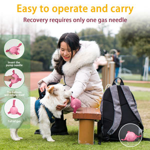 KINYU Özel Logolu Çevre Dostu Modern Lüks Köpek Futbol Topu Oyuncakları Yüksek Kaliteli İnteraktif Kauçuk Dayanıklı Evcil Hayvan Oyuncakları - Product Image 4