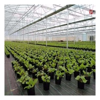 Rouleau de tissu pp noir en gros au meilleur prix d'usine, feuille de couverture de sol en polypropylène tissé tissu agro de contrôle des mauvaises herbes