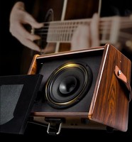 Amplificateur de guitare acoustique rechargeable en bois, sortie 25W, léger (5KG), produit de sport et de divertissement