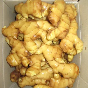 High Quality Dried Fresh Ginger Preferred Raw Materials Market Price Per Ton Wholesale Ginger Buyers