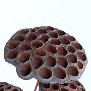 ยูนนานดอกไม้แห้งธรรมชาติบริสุทธิ์,ฝักบัวอบแห้งช่อดอกไม้ชนบทสำหรับตกแต่งแบบชนบทเหมาะกับชาวพุทธ - Product Image 6