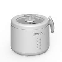 Mini-cuiseur électrique multifonctionnel HY, portable, pour la cuisine domestique et l'extérieur, cuiseur à riz 1,6 L