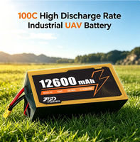 12600mAh 8S 30.4V 100C Yüksek Güçlü Pil, FPV Drone RC Uçak İHA Fabrika Teslimatı Güvenli Kargo Drone Pili