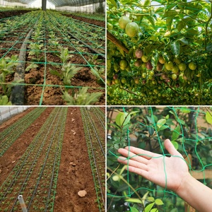 Chất Lượng Cao Nhà Máy Màu Xanh Lá Cây Hỗ Trợ <span class=keywords><strong>Net</strong></span> Polyester HDPE Trellis <span class=keywords><strong>Net</strong></span> Cho Nông Nghiệp Dưa Chuột Đậu Phát Trồng <span class=keywords><strong>Net</strong></span> - Product Image 5