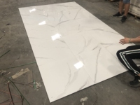 Tuile Céramique Glacée Vitrifiée 600x600 Fleur Blanche Pour Sol – Prix Fournisseur