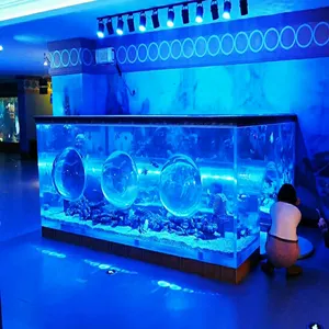 Bể Cá Acrylic Cỡ Lớn Thế Giới Đại Dương Siêu Chuyên Nghiệp, Nhà Máy Bán Trực Tiếp Bể Cá Acrylic Trong Suốt @