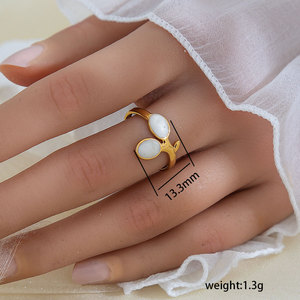 Anillo de Hoja de Acero Inoxidable de Moda Minimalista Popular Europeo Americano, Anillo de Mujer Moderno Chapado en Oro de 18k Personalizado - Product Image 4