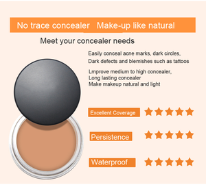 OEM Cobertura Completa Unisex Maquillaje Mate Larga Duración Mineral Contorno <span class=keywords><strong>Corrector</strong></span> Hidratante Natural Piel Color <span class=keywords><strong>Corrector</strong></span> Crema - Product Image 4