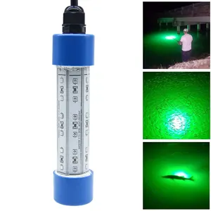 Superior Quality Under Water Night Fishing Light 30W/60W/100W/1000W/ IP68 360 Degree LED Fish Lamp