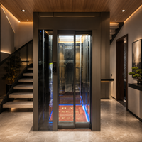 Ascensor Moderno para Viviendas, Puerta Doble Abatible Eléctrica con Construcción Metálica para Apartamentos y Villas