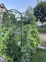 Gartenpflanzen-Metallclips für Tomaten, Bambuszaunpaneele, Hochbeet, Pergola, Schwarzes Rankgitter für Kletterpflanzen