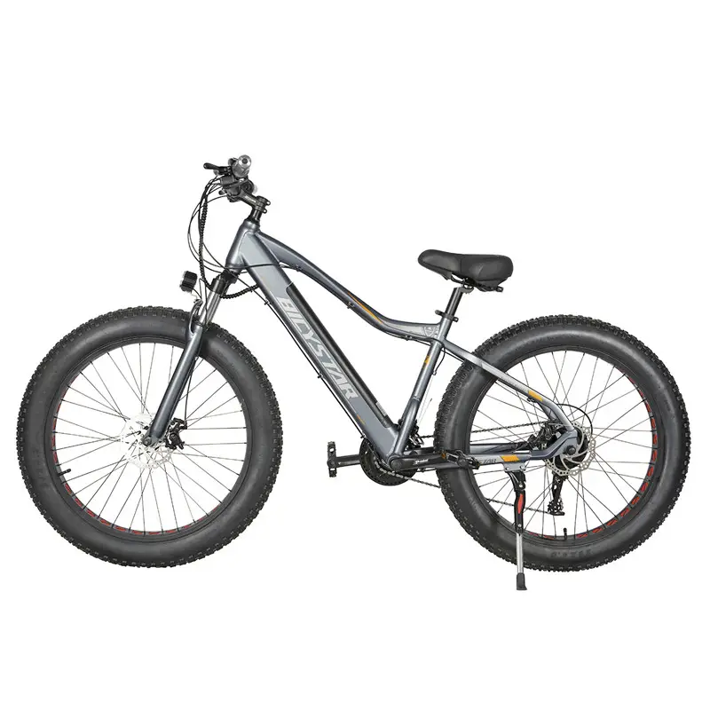 2021 Offre Spéciale adulte 1000 watts velo electrique /1000 w mid drive ebike / vintage Lithium bicicleta electrica vélo électrique