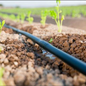 <span class=keywords><strong>Tuyau</strong></span> d'irrigation <span class=keywords><strong>goutte</strong></span> à <span class=keywords><strong>goutte</strong></span> cylindrique rigide de 500 <span class=keywords><strong>m</strong></span> par rouleau pour système d'irrigation agricole - Product Image 3