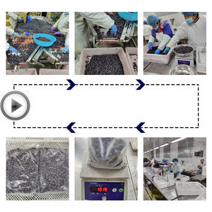 도매 냉동 과일 IQF 냉동 블루 베리 냉동 과일 음료 - Product Image 2