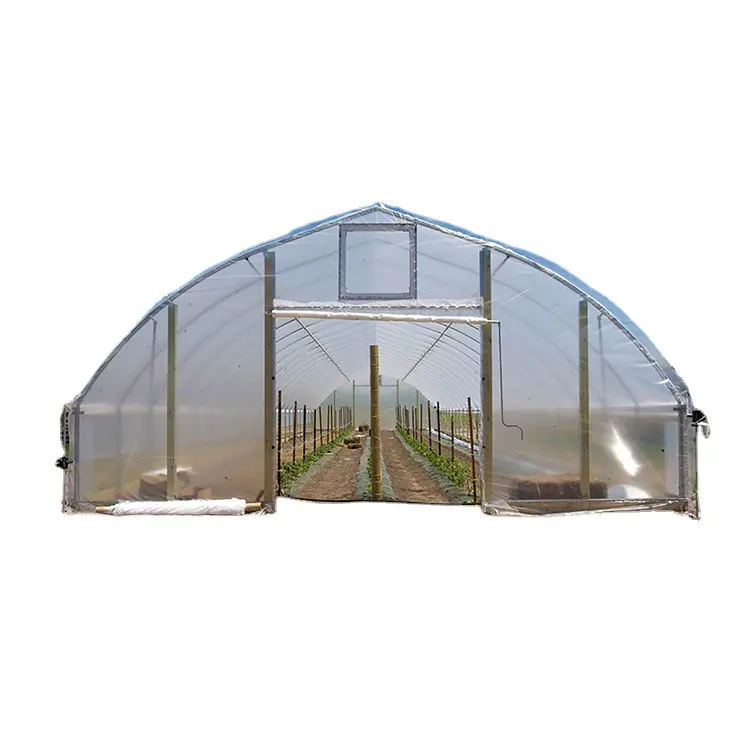 One one Romania agriculture PC multi span green house  tunnel greenhouse for cultivation with service life of over 15 years