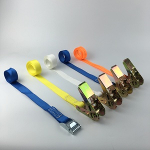 2 Inch 25mm Cam Buckle <strong>Tie</strong> <strong>Down</strong> <strong>Strap</strong> Endless With Silicone Protector Padded Luggage Ratchet Belt - Product Image 4