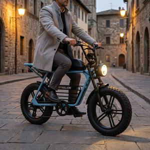 Klasik Şehir Sürüşü Geceye Hazır Heritage Elektrikli Bisiklet, LED Farlı, Eski Şehir Yaya Döngüsü Yolları için Şehir E-bisikleti - Product Image 1