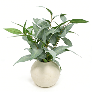 Plantes artificielles d'<span class=keywords><strong>eucalyptus</strong></span> <span class=keywords><strong>en</strong></span> <span class=keywords><strong>pot</strong></span> <span class=keywords><strong>en</strong></span> pulpe de papier écologique avec faux sol, <span class=keywords><strong>pour</strong></span> une maison sereine sur les étagères et les rebords de fenêtre - Product Image 2