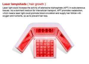 Newest <b>Hair</b> Regrowth Machine <b>Hair</b> Follicle Analyzer <b>Scalp</b> <b>Massager</b> <b>for</b> <b>Hair</b> Growth - Product Image 6