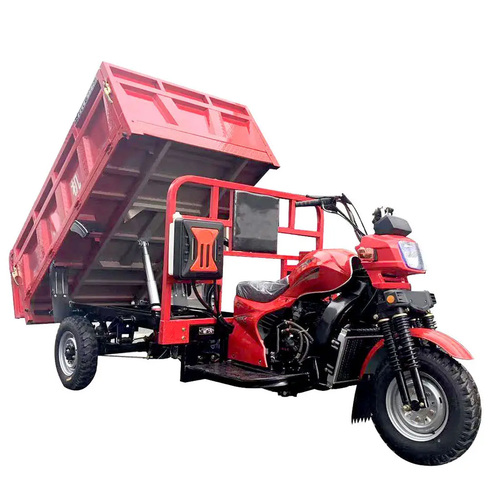 Top Quality adult self dumping three wheel motorcycle for cargo