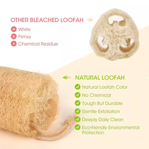 Éponge de Douche Exfoliante 100% Naturelle et Biologique en Luffa, Gommage Corporel Moderne pour Hommes, Femmes et Adultes, Brosses et Éponges de Bain SPA - Product Image 3