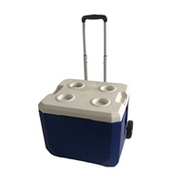Hs refroidisseur en plastique 30L coffre à glace refroidisseur dur avec roues roulant avec logo promotion garder article refroidissement poitrine refroidisseur de nourriture