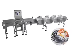 Báscula Electrónica de Pesaje para Pescado Congelado con Cinta Transportadora, Clasificación Automática de Peso, Acero Inoxidable 304, OEM/ODM - Product Image 6