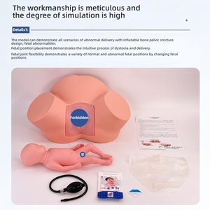 Modelo Avanzado de Demostración de Distocia, Simulador de Entrenamiento para Parto con Pelvis y Feto Ajustables - Product Image 3