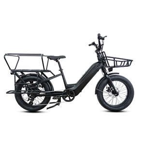 2024 longue queue vélo nouveau deux batterie Max chargement famille E vélo e-cargo <span class=keywords><strong>Triporteur</strong></span> adulte Cargo vélo électrique avec panier - Product Image 2