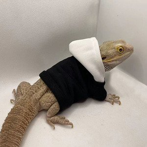 Sudadera con Capucha Personalizada para Reptiles, <span class=keywords><strong>Ropa</strong></span> para Lagartos, Sudadera con Capucha de Lagarto, <span class=keywords><strong>Ropa</strong></span> Linda para Mascotas Lagartos - Product Image 2