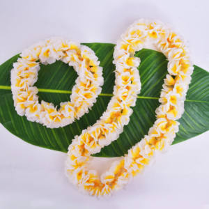 工場サプライヤーHL007597CM人工シルクミニプルメリアハワイアンレイハワイフラダンサートロピカルフラワーパーティーウーマンネックレス - Product Image 5