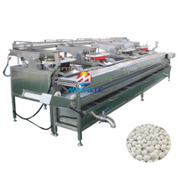 Ligne de cuisson et de pelage d'œufs de caille entièrement automatique, élimination des coquilles d'œufs de caille, usage commercial