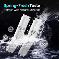 Purificateur d'eau RO instantané chaud et froid 100 GPD pour comptoir, filtration 6 étapes, autonettoyant, durée de vie du filtre à vie, usage domestique