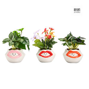 सिरेमिक प्यारा कार्टून पशु रसीला बर्तन हाथ से चित्रित ओपल पांडा व्यक्तिगत रचनात्मक बगीचे बर्तन - Product Image 1