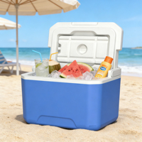 Glacière portable 5L en PP, style moderne, isolée, résistante à l'eau, étanche, pour pique-nique, boissons, camping
