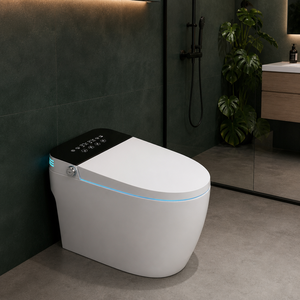 Inodoro Inteligente con Certificación CE, Bidé de Una Pieza sin Borde, Luz Nocturna LED, Panel Táctil, Descarga Automática, Asiento con Calefacción, WC de Cerámica - Product Image 3