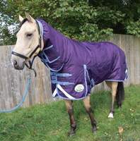 Couverture de cheval de luxe personnalisable en polyester Ripstop 1200D ultra-résistant, pour l'hiver, avec couvre-cou, isolation 300 GSM