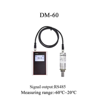 Instrument d'inspection du point de rosée DM60-RS485, transmetteur de point de rosée IP65, 60~+20 ℃ td RS485 DC18~28V/30mA