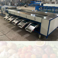 Hoge Kwaliteit Automatische Fruit- en Groente Sorteermachine Commerciële Ui Sorteermachine 304 RVS 2-10 Ton Capaciteit