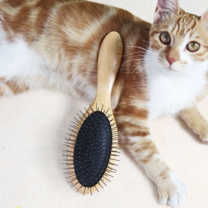 Baoli OEM 95g 64x220mm cepillo de aseo gato Show Dog <span class=keywords><strong>Madan</strong></span> inoxidable Pin cepillo de madera gato perro aseo Slicker cepillo para mascotas - Product Image 5