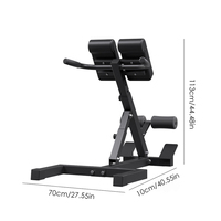 ZHOYA SPORTS Extension du dos Chaise romaine Crunches Hyperextension Gym Fitness Chaise romaine Machine d'entraînement à domicile à vendre