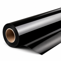 Film de protection de voiture noir brillant 6 mil, vinyle changeant de couleur, pour la carrosserie complète, rouleau de 1,52 m x 18 m