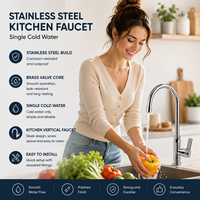 Robinet de cuisine en acier inoxydable, monocommande, à poser sur comptoir, avec cartouche en laiton moderne, eau froide, pour usage hôtelier, finition chromée, garantie 3 ans