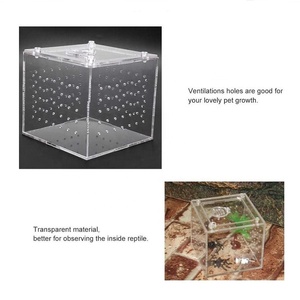 Scatola di allevamento di rettili in <span class=keywords><strong>Plexiglass</strong></span> personalizzata <span class=keywords><strong>con</strong></span> coperchio magnetico - Product Image 3