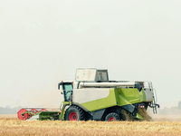 Moissonneuse-batteuse agricole de haute qualité au meilleur prix GF28 pour la récolte du maïs, du blé, du riz et des autres cultures