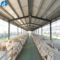 Atelier de conception moderne à structure en acier et hangar de ferme pour l'élevage de volailles, de chèvres et de moutons par le fournisseur
