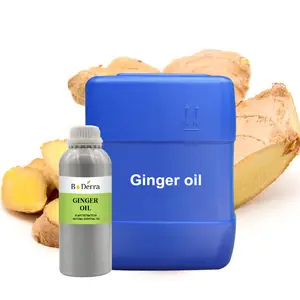 High quality ginger essential oil at bulk price for hair growth with MSDS