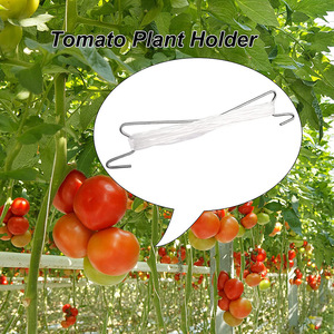 Ganci <span class=keywords><strong>a</strong></span> J C116 <span class=keywords><strong>per</strong></span> Supporto Pomodori, Ganci da <span class=keywords><strong>Giardino</strong></span> <span class=keywords><strong>per</strong></span> Prevenire che i Pomodori si Schiaccino o Cadano, Ganci <span class=keywords><strong>per</strong></span> Piante Rampicanti - Product Image 2